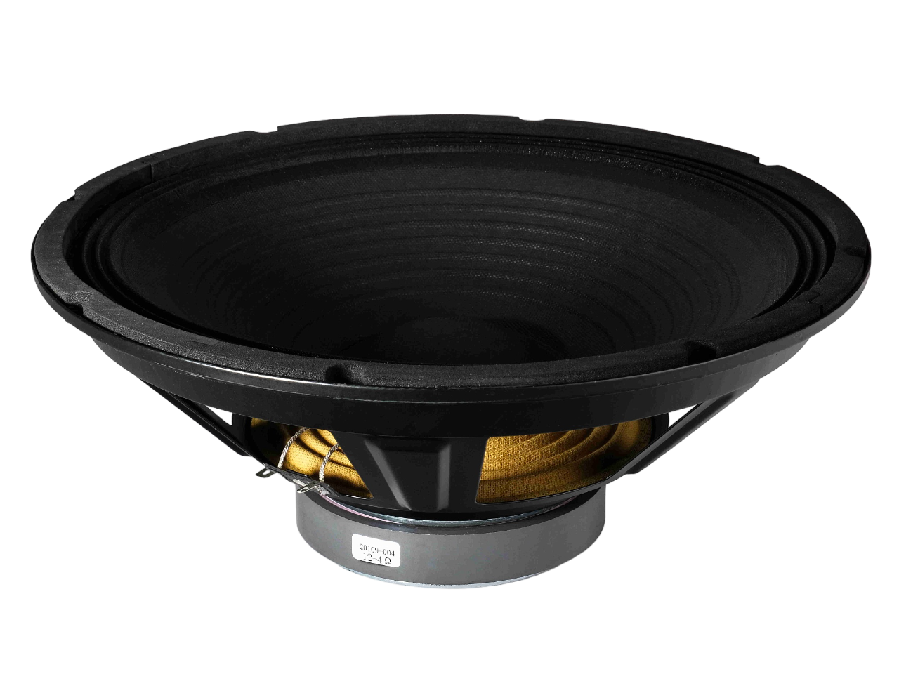 Leem Speaker SPA12