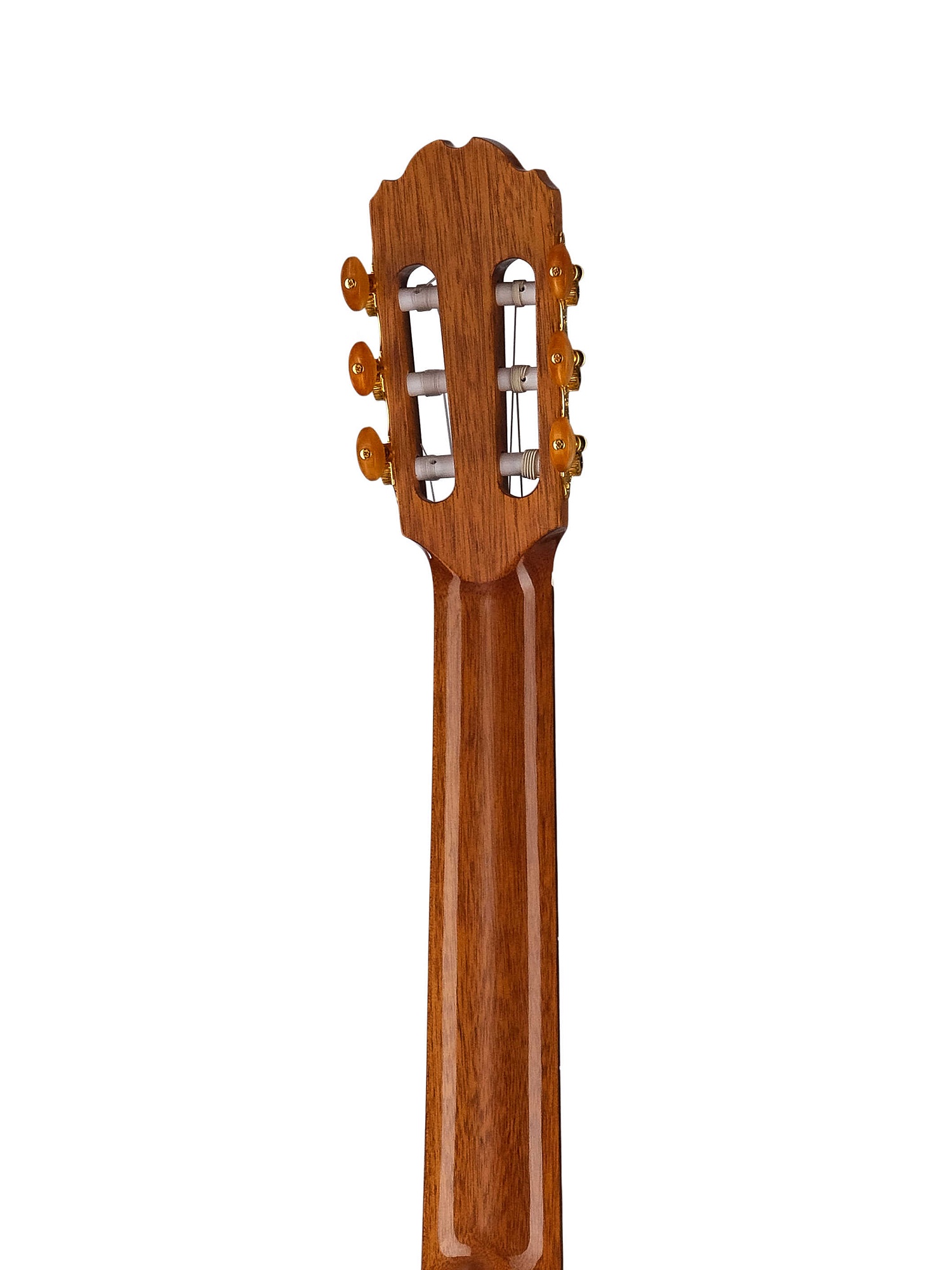 Kremona R65CW-TL Performer Series Rondo
