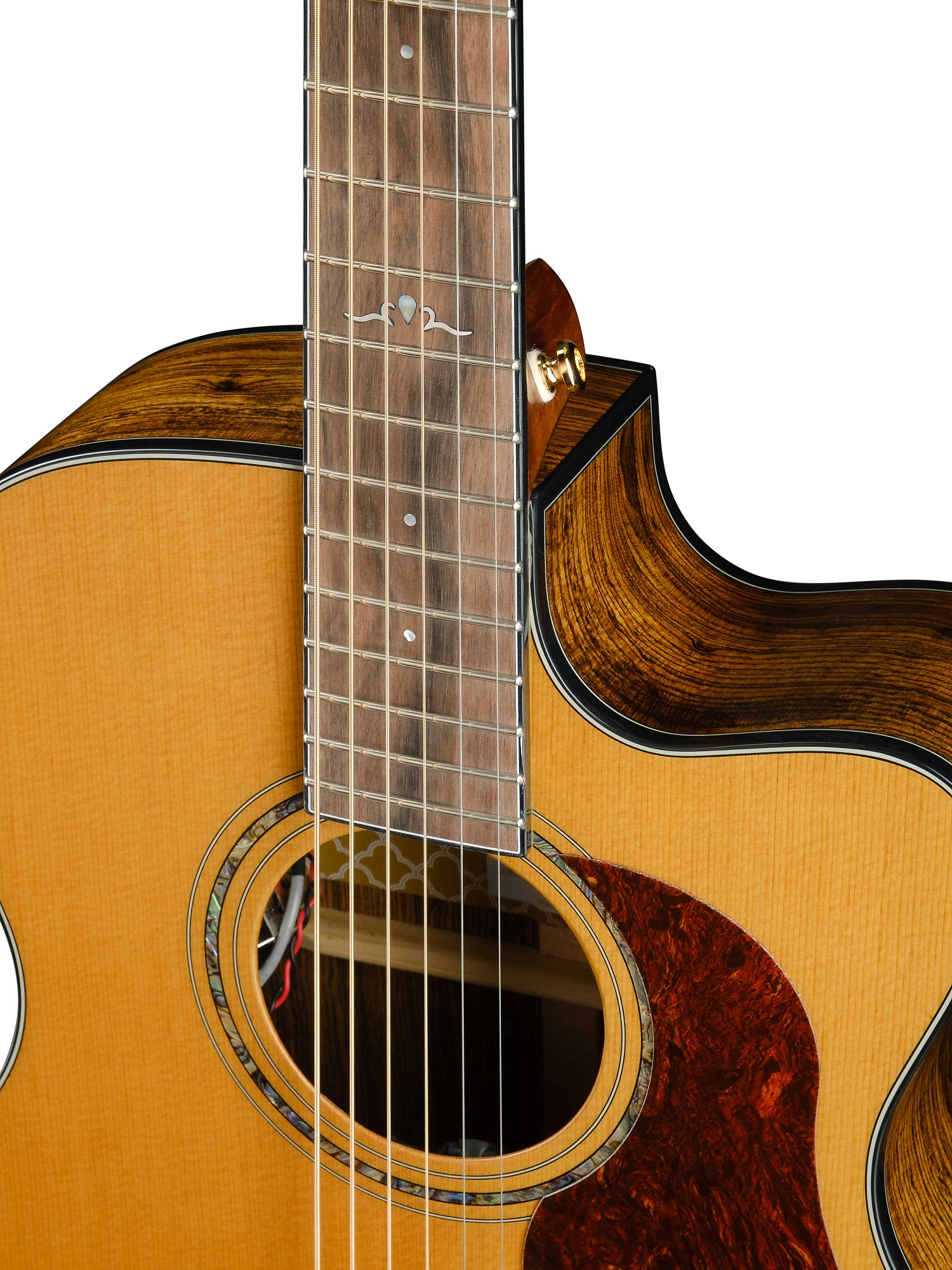 Cort Gold-OC6-Bocote-WCASE-NAT Gold Series