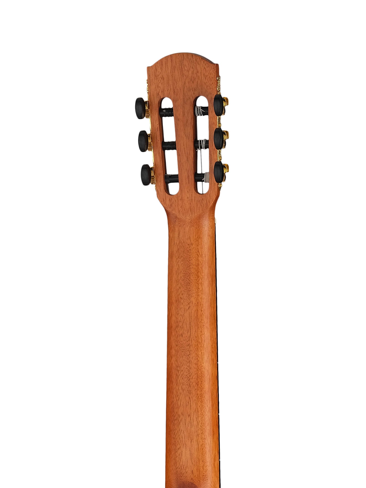 Cascha CGC200 Stage Series