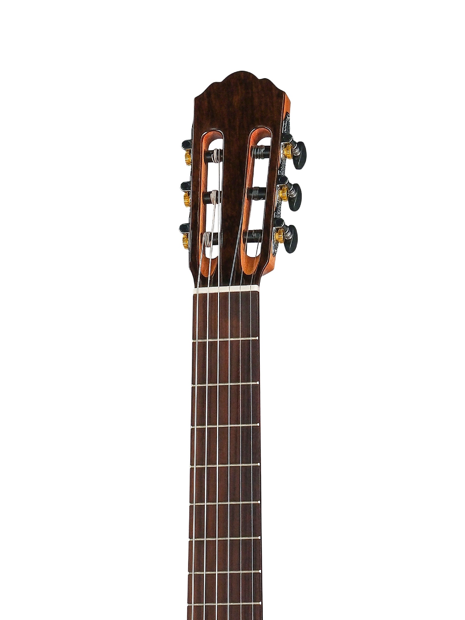 Root Note RNC200-NT