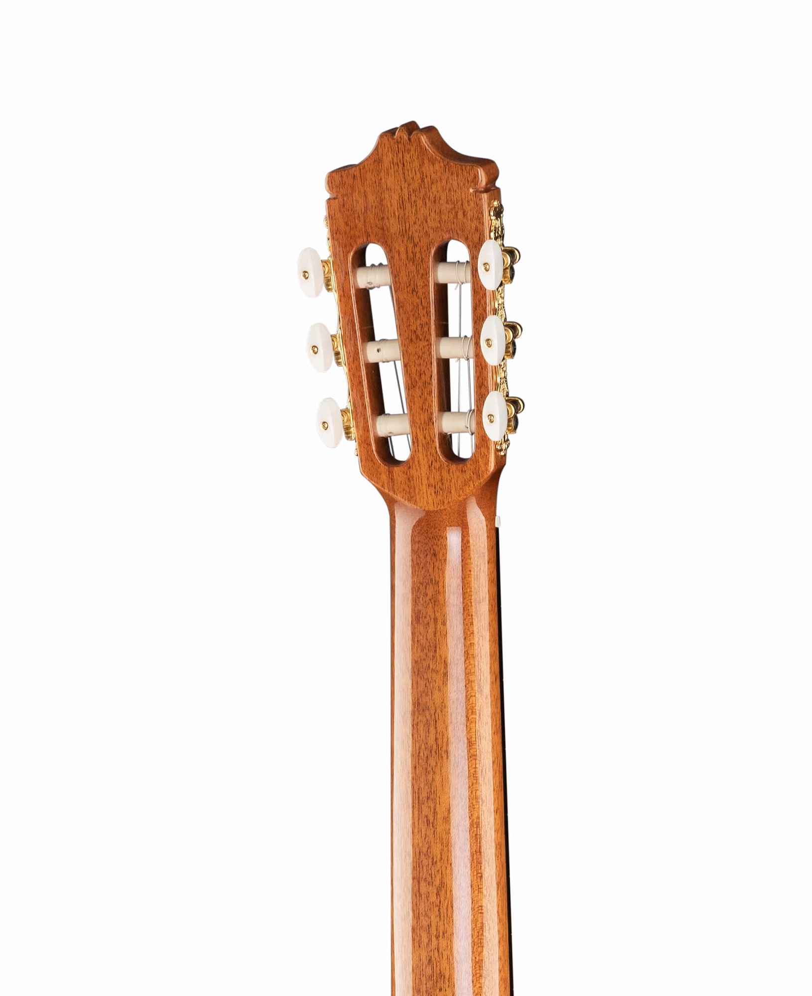 Alhambra 2.303 Classical Conservatory 7P