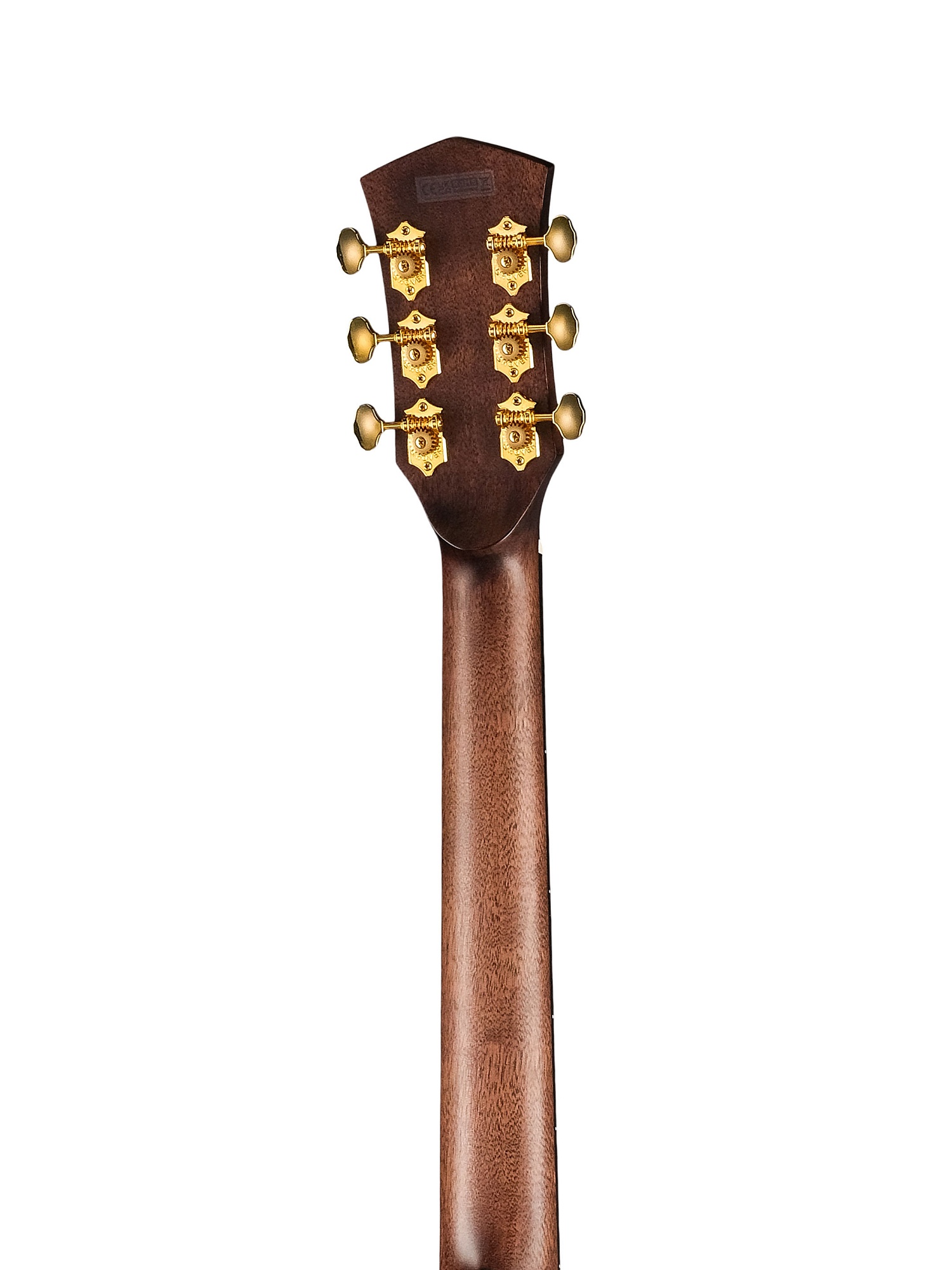 Cort Gold-MC6-Ovangkol-WCASE-NAT Gold Series