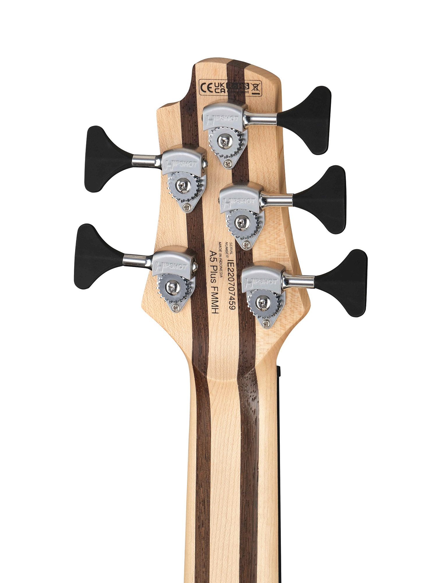 Cort A5 Plus FMMH OPBC Artisan Series