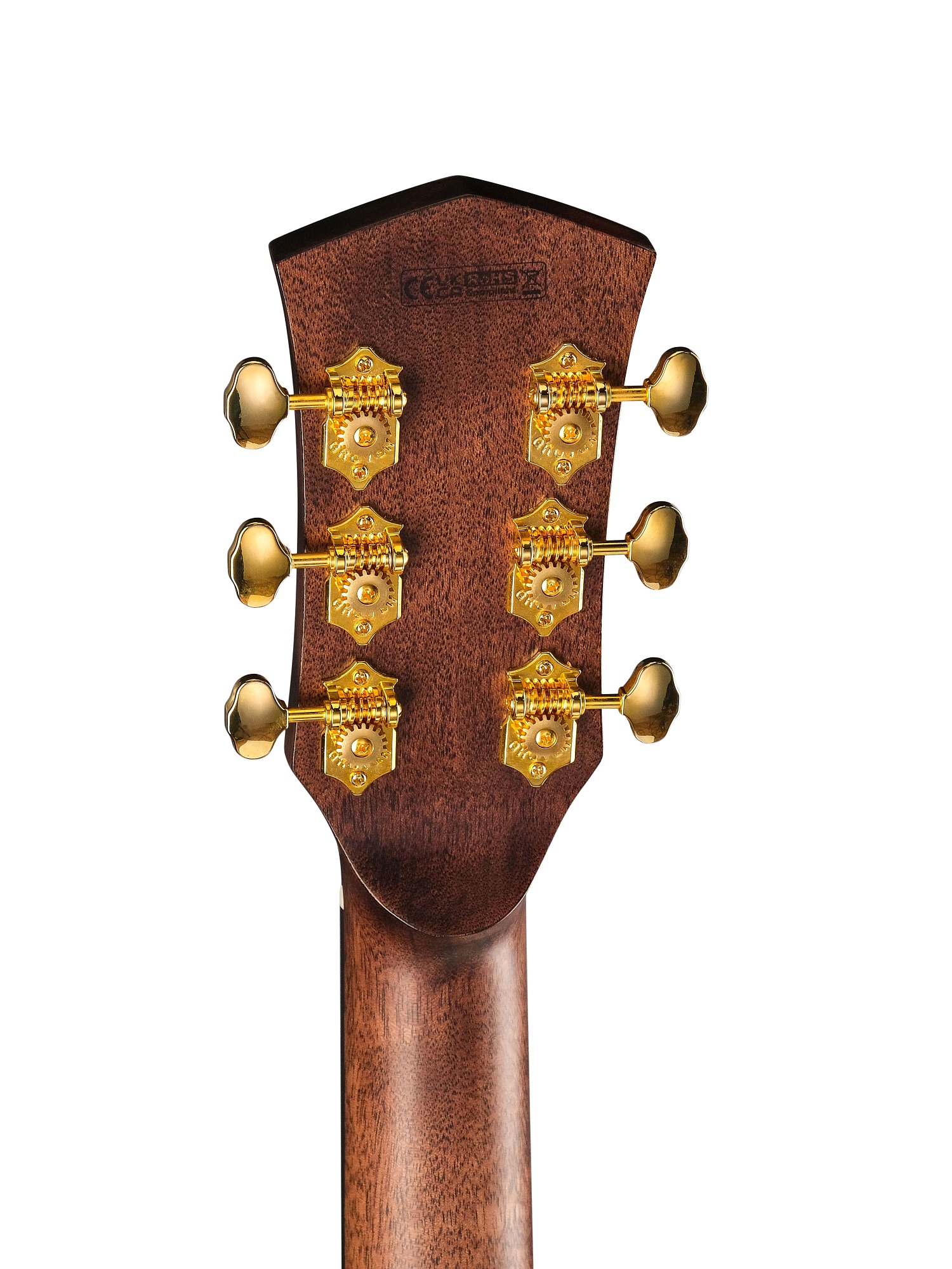 Cort Gold-MC6-Ovangkol-WCASE-NAT Gold Series