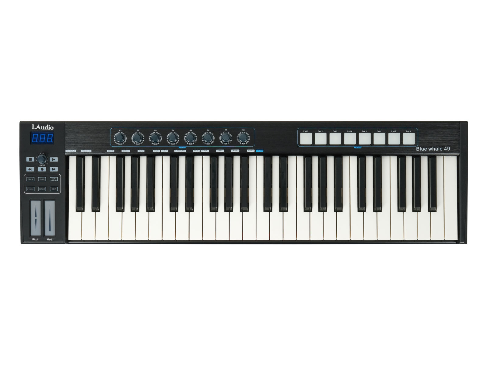 LAudio Blue Whale49