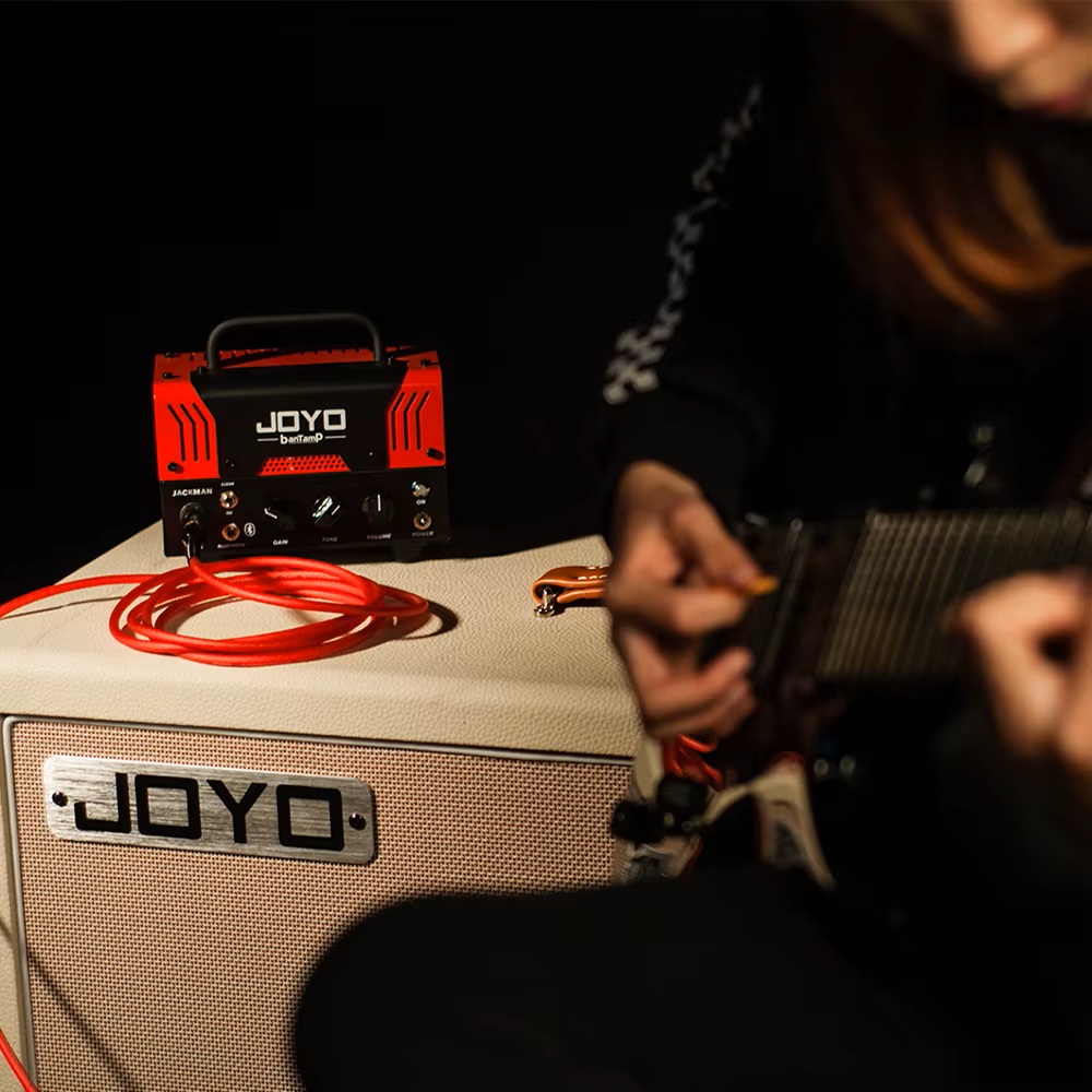 Joyo CM-22-RD