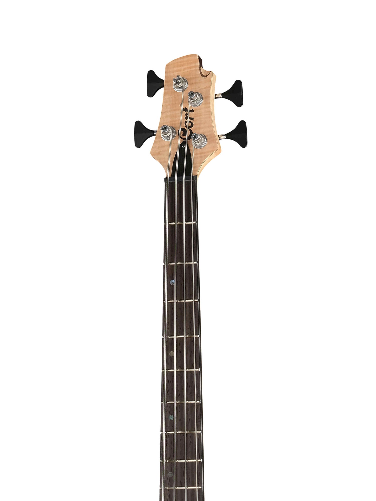 Cort A4 Plus FMMH OPN Artisan Series