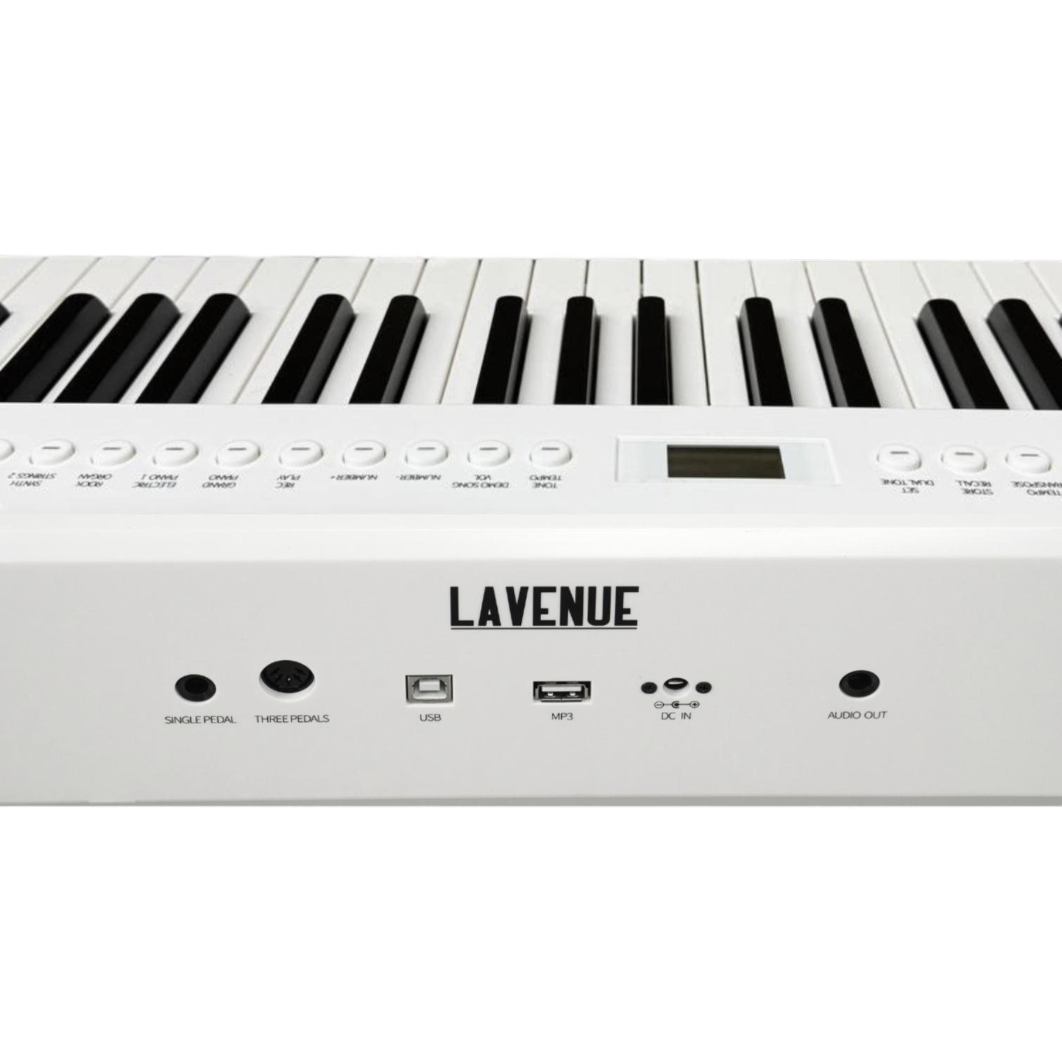 LAVENUE Nocturne WH