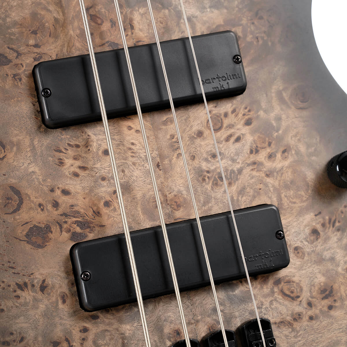 Cort Space4 WBAG SDB Artisan Series