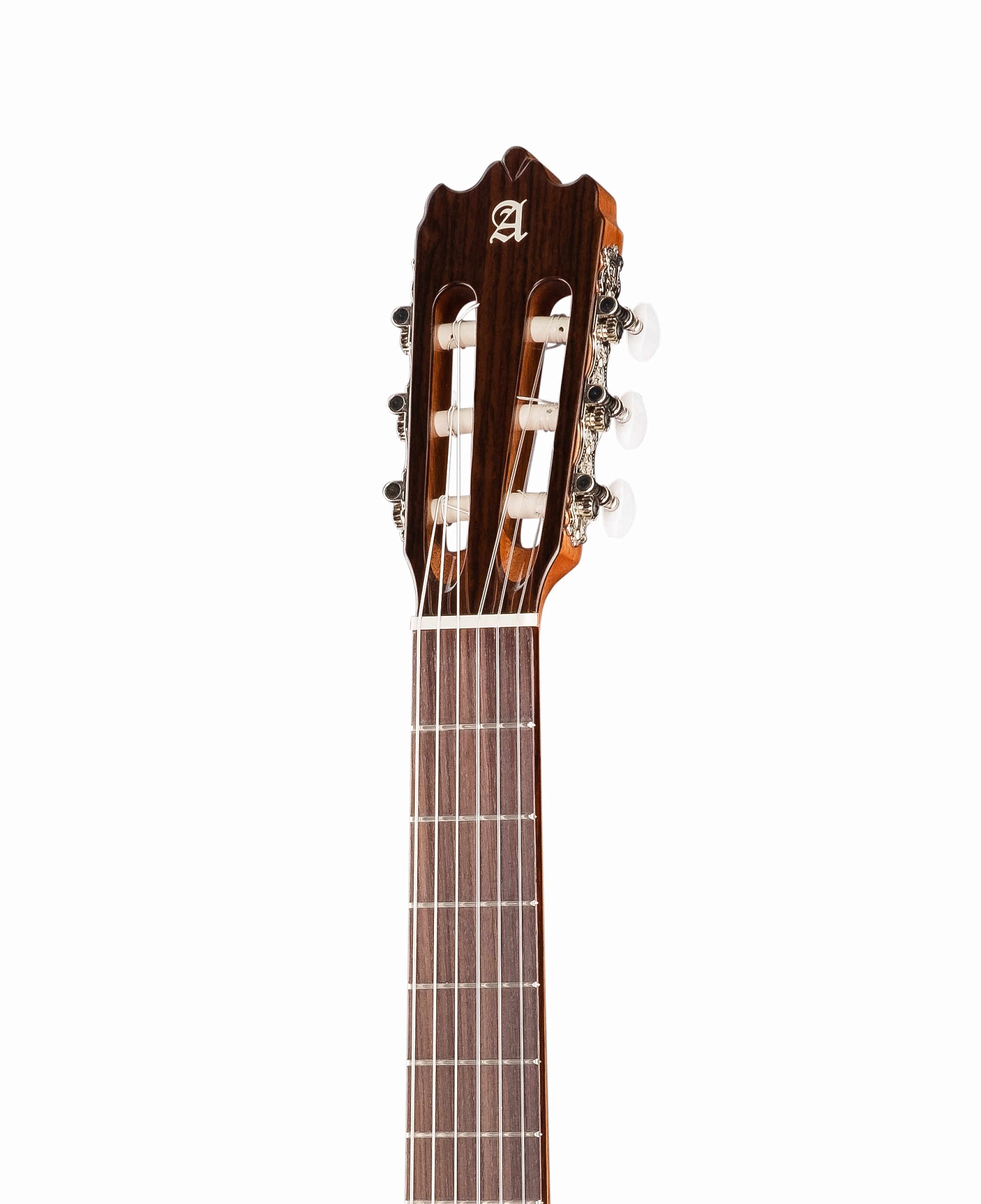 Alhambra 6.856 Cutaway 3C CT