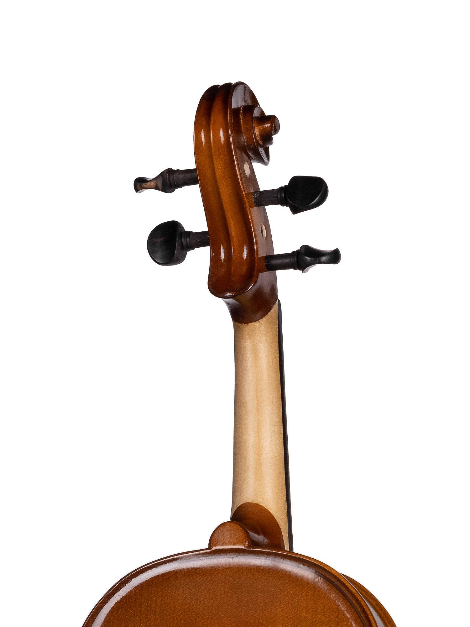 Gliga B-V034 Beginer Genial 2 Nitro