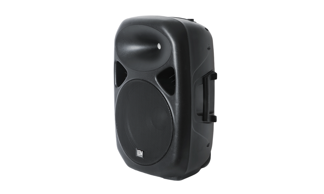 Leem SPA-12