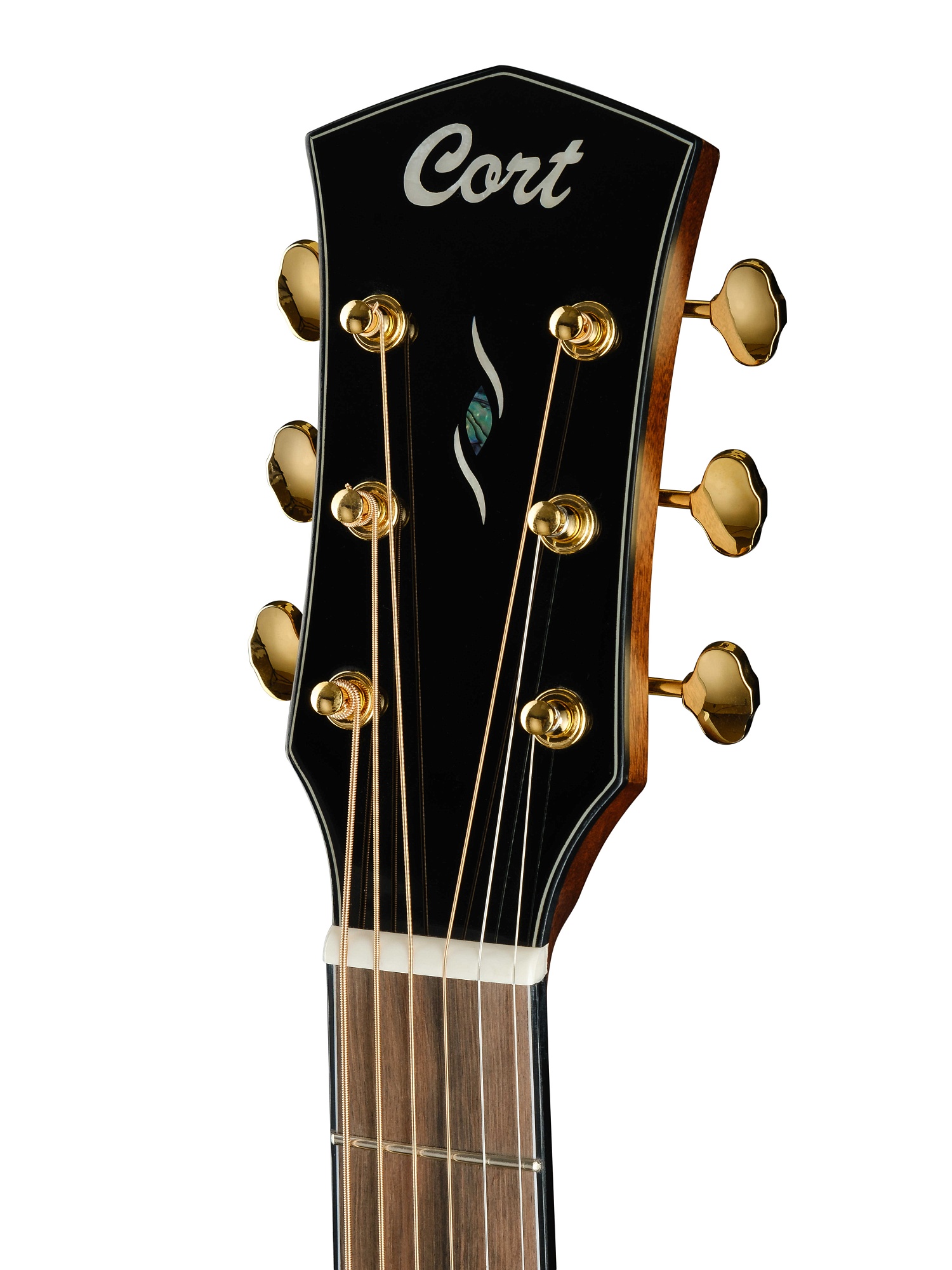 Cort Gold-OC6-Bocote-WCASE-NAT Gold Series