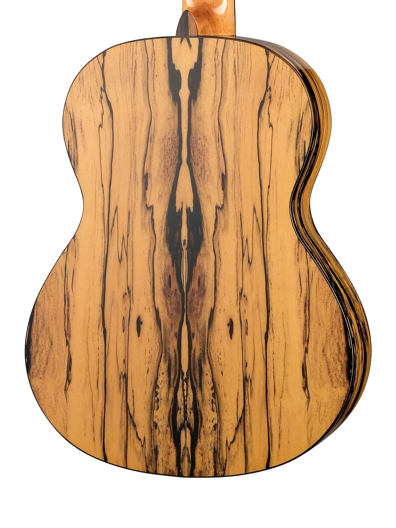 Alhambra 8.891V Classical Conservatory 6 White Ebony