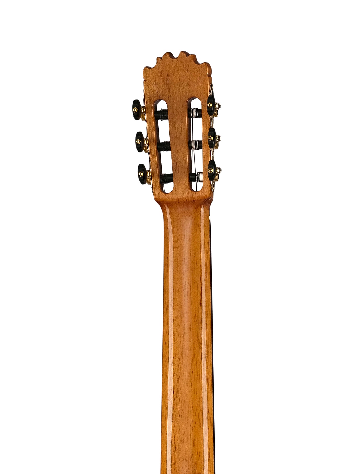 Martinez MF-5
