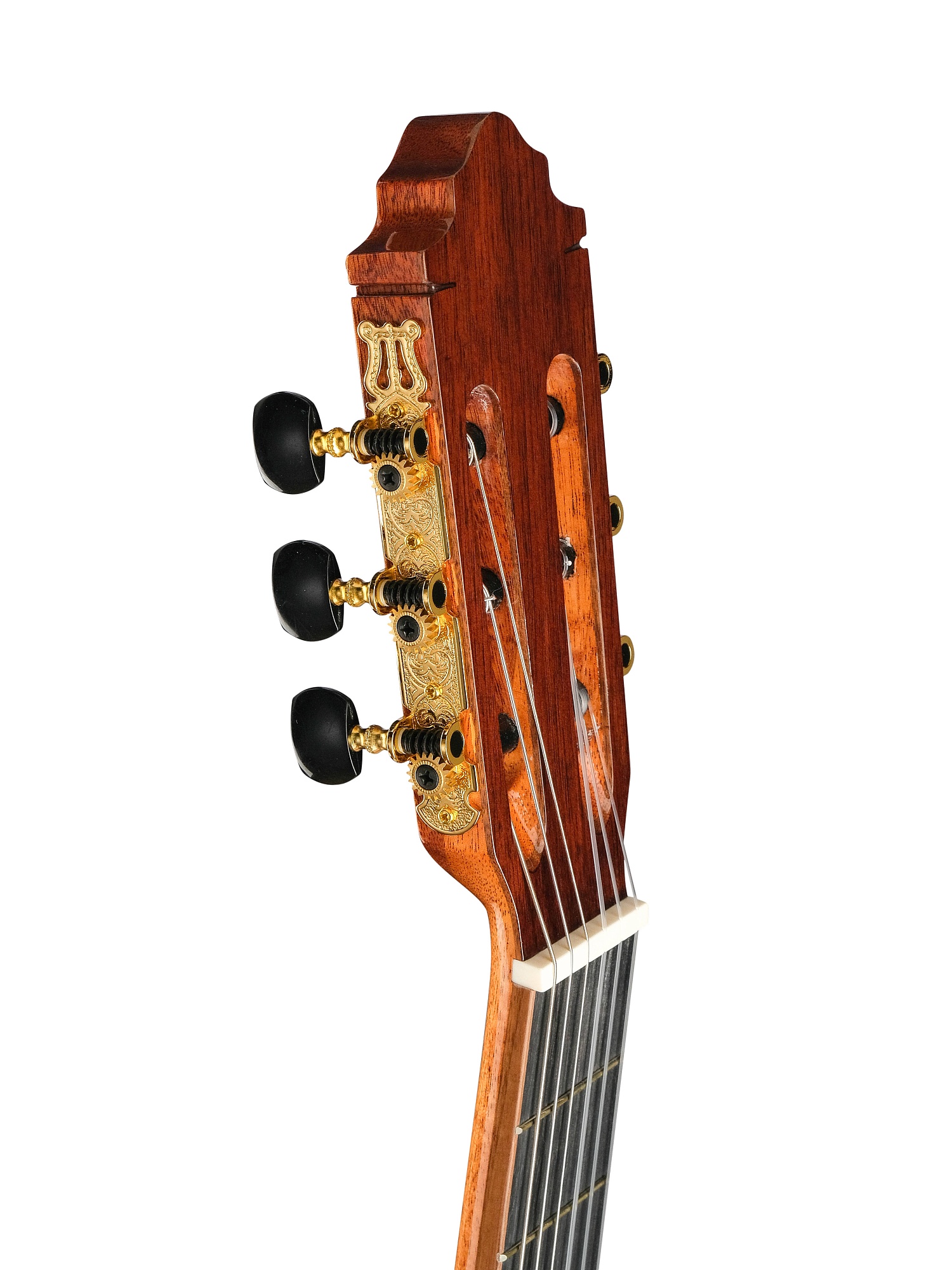 Caraya SCS-826