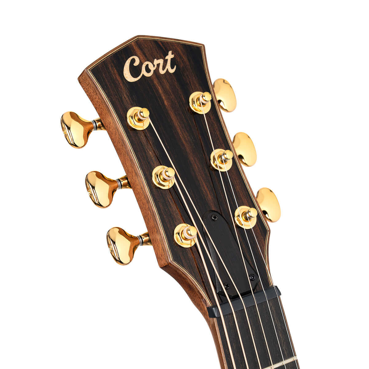 Cort Modern-Burst-WCASE-TSB Masterpiece Series