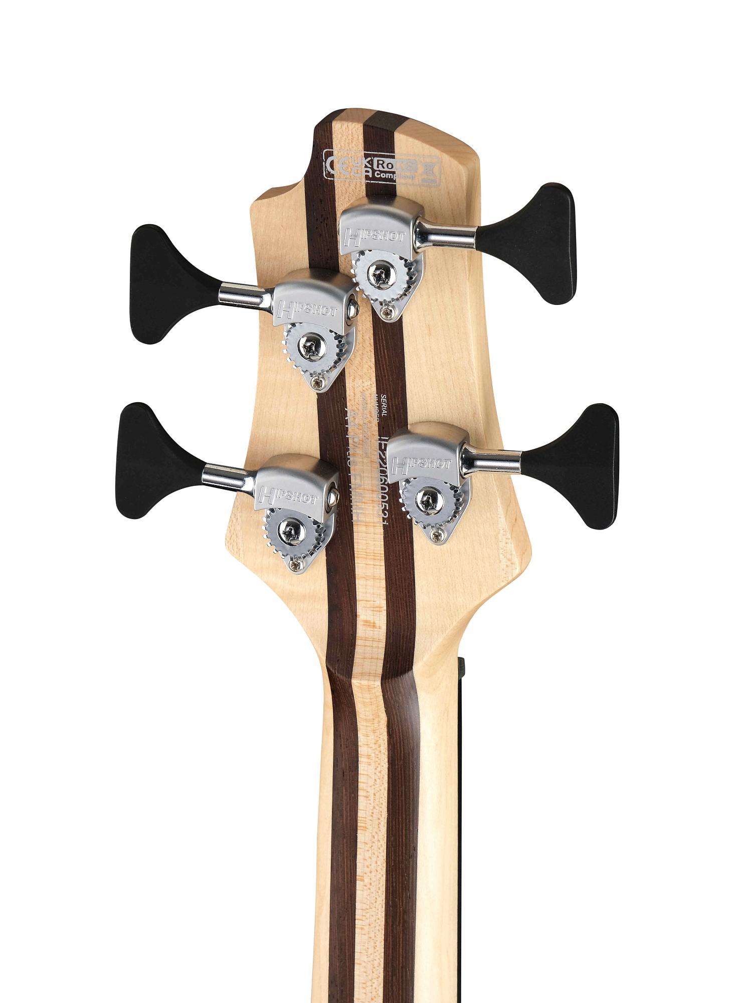 Cort A4 Plus FMMH OPLB Artisan Series