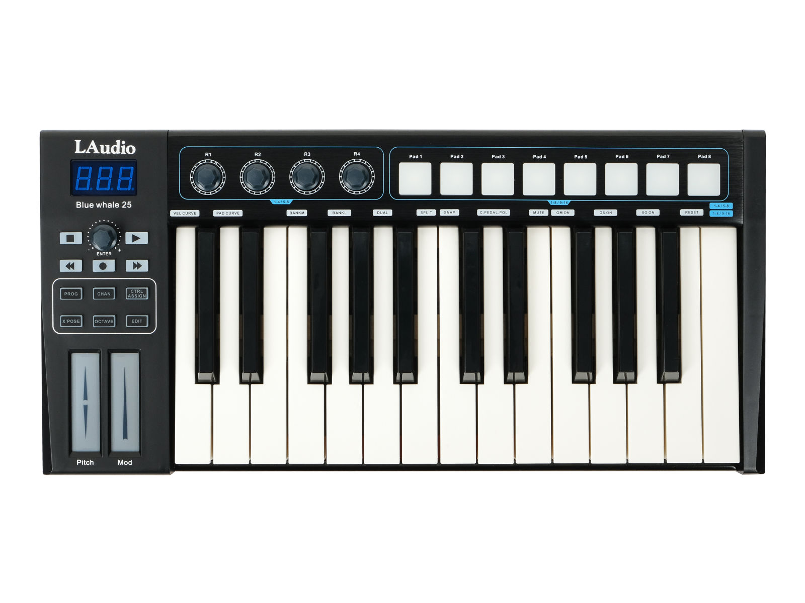 LAudio Blue Whale25