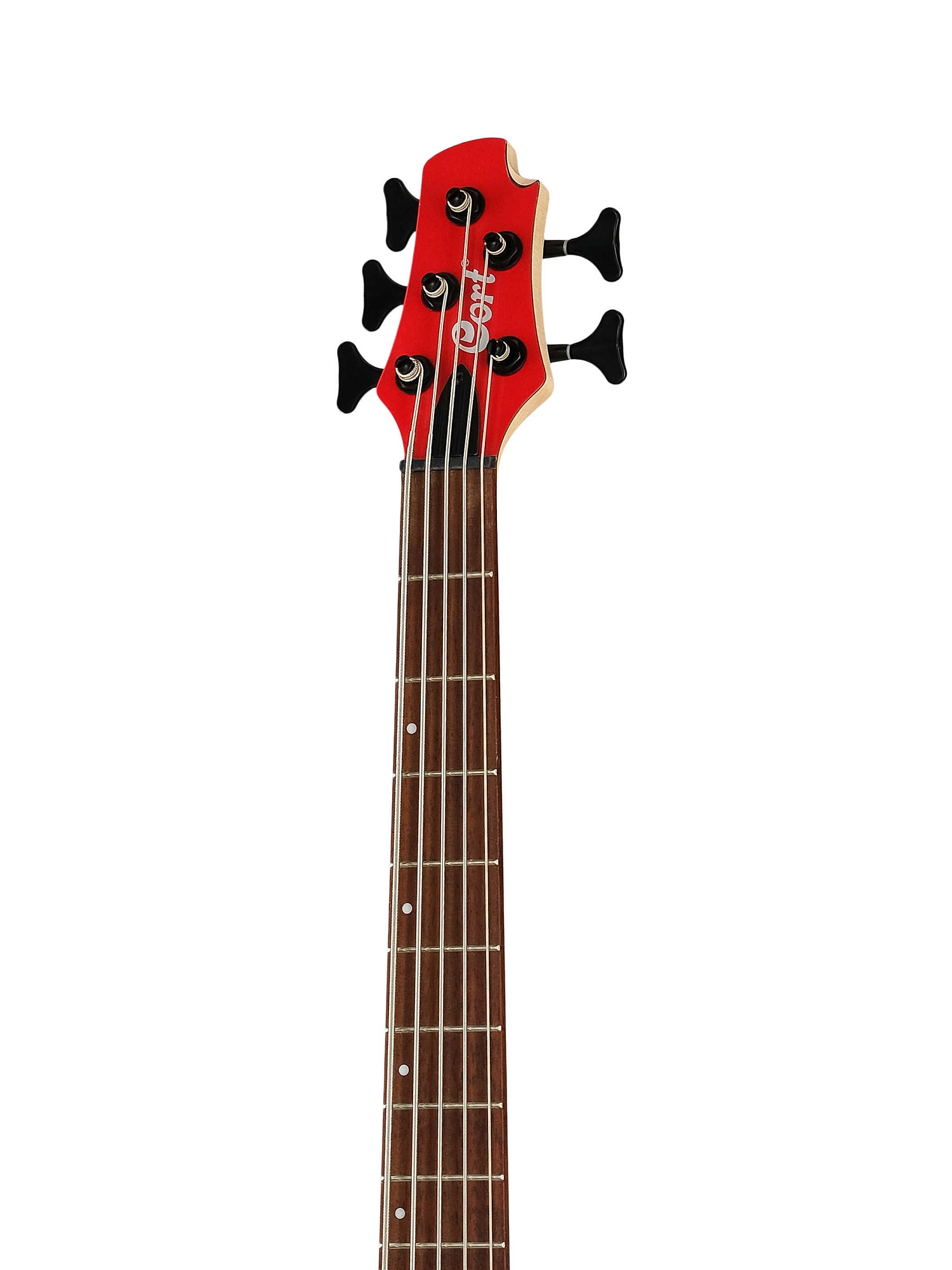 Cort C5 Deluxe CRD Artisan Series