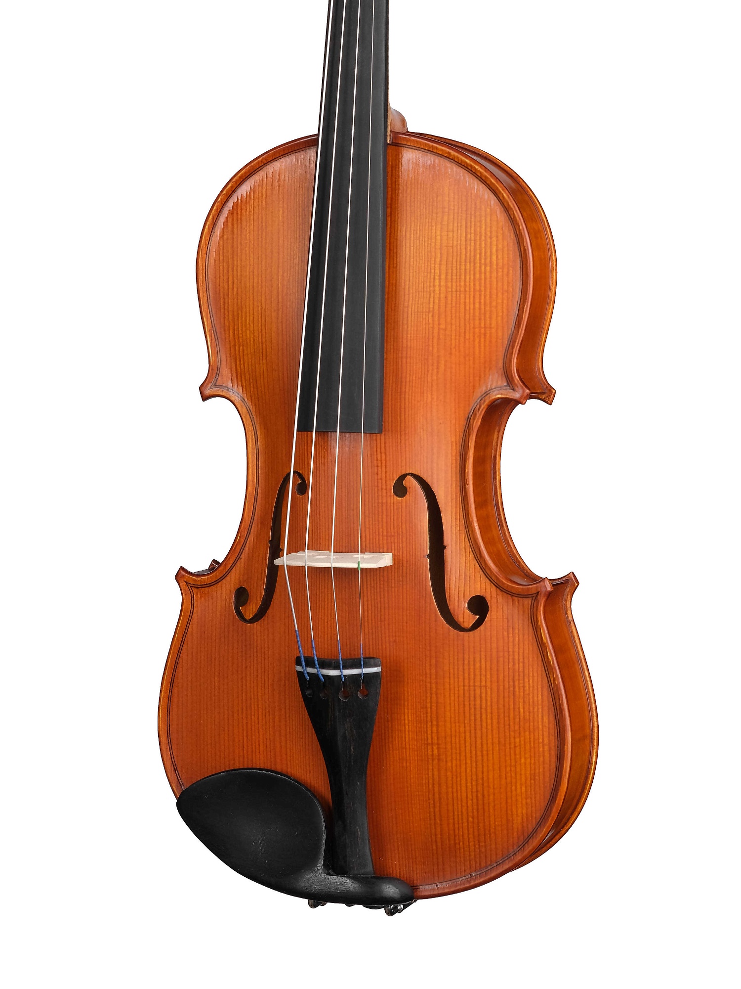 Gliga S-V044 Student Genial 1 Oil